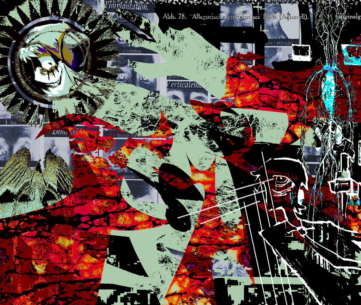 夜鹭日常 tweet media