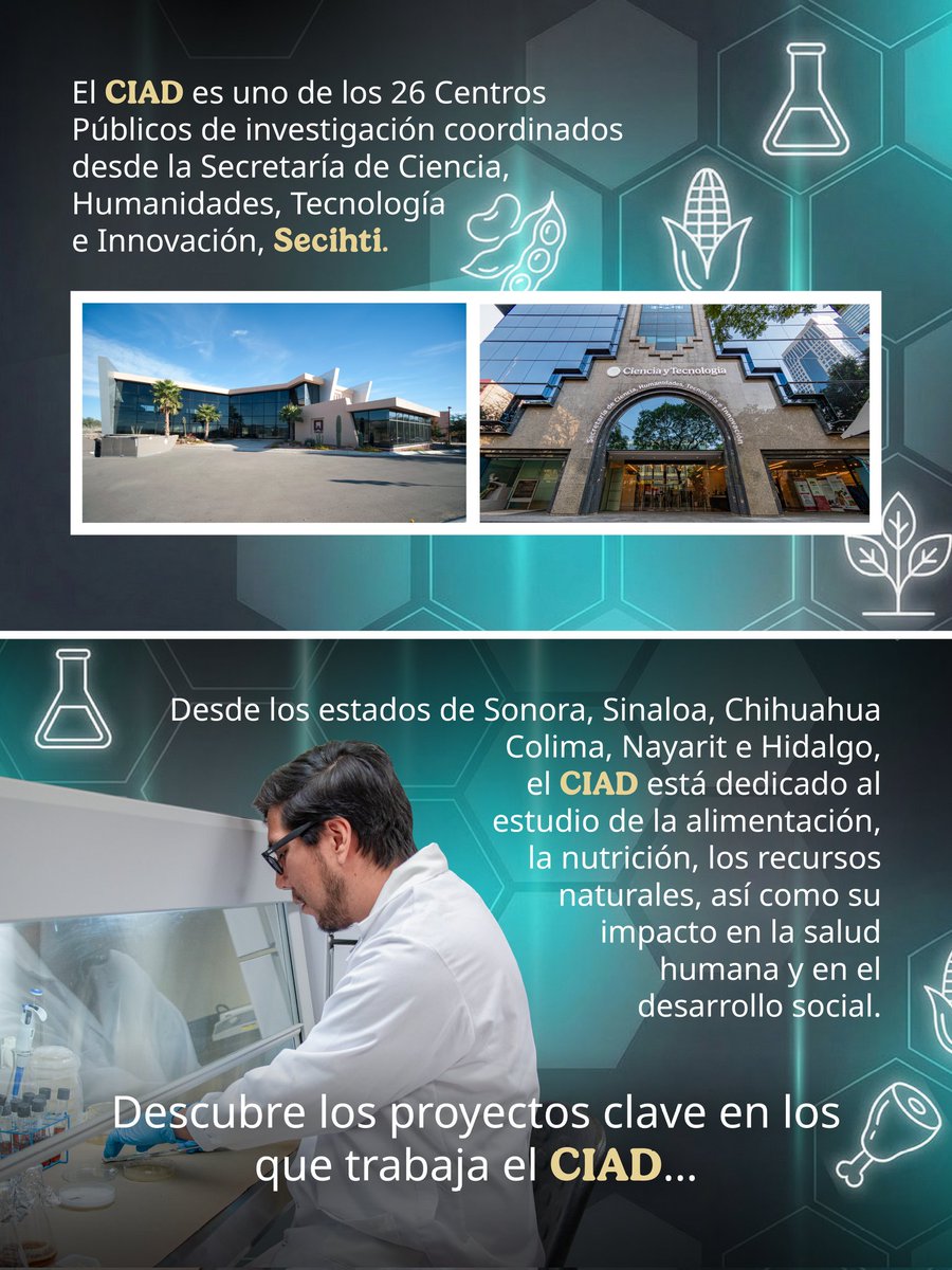 Secretaría de Ciencia tweet media