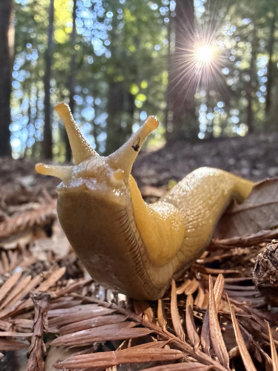 Ryan Cash tweet media