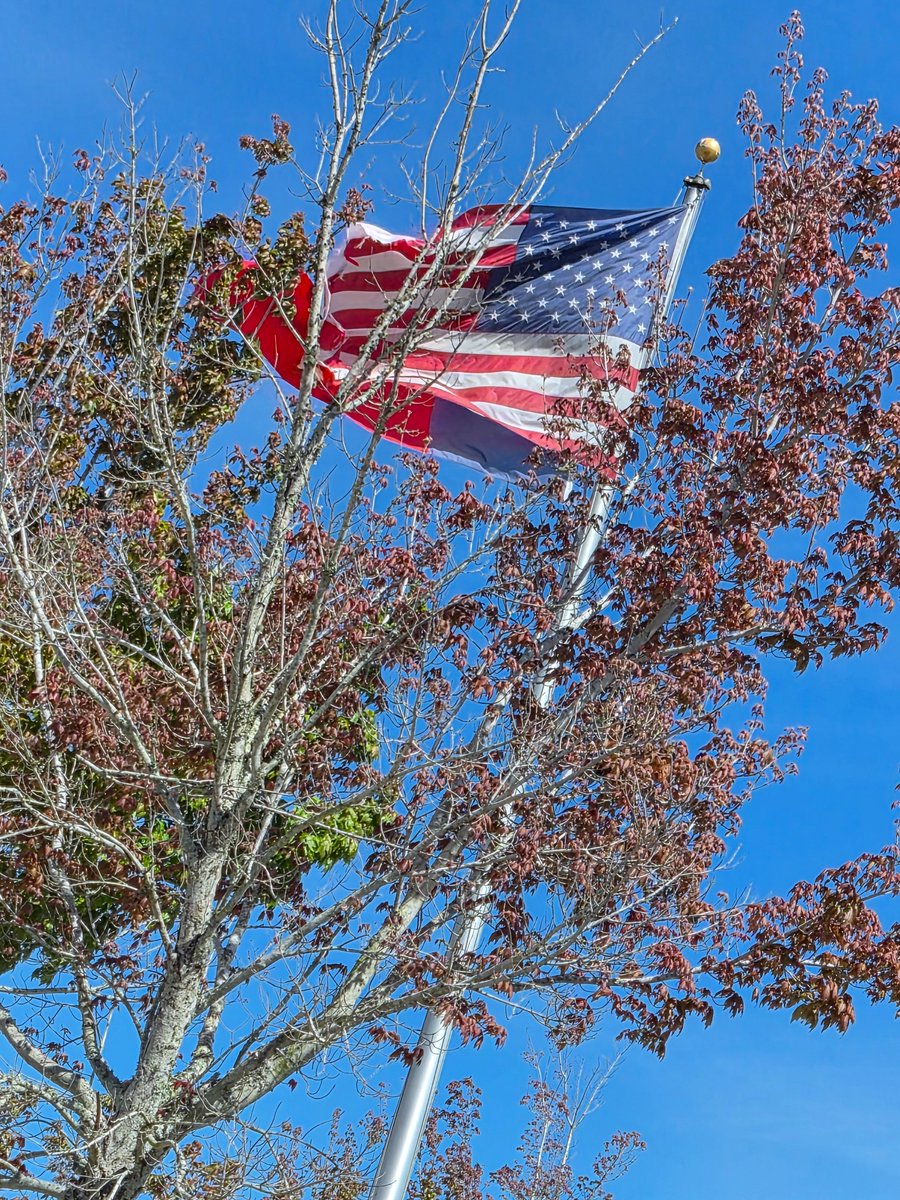 William Sorensen tweet media