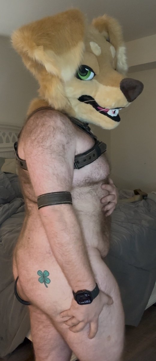 Sample 🔜 FurTheMore tweet media