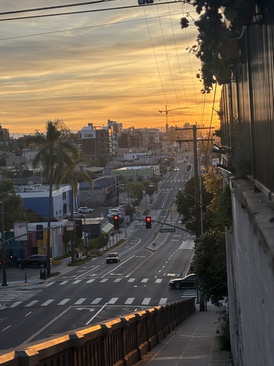 Luis Peraza tweet media