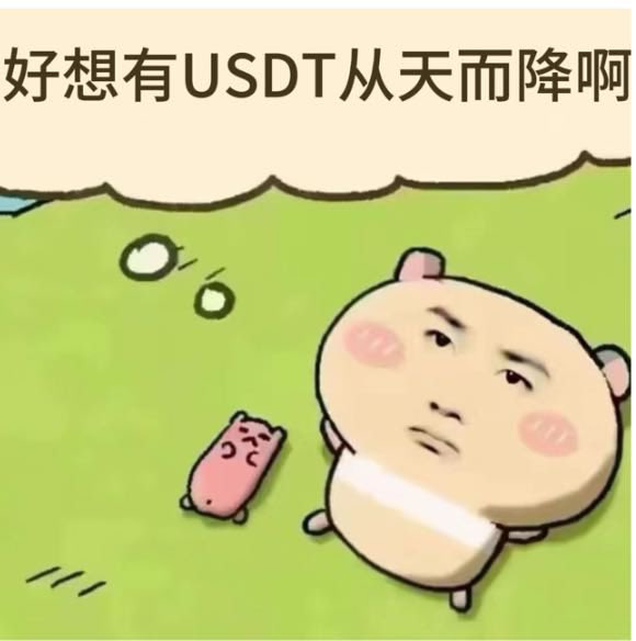 CryptoCat|猫姐🐈 tweet media