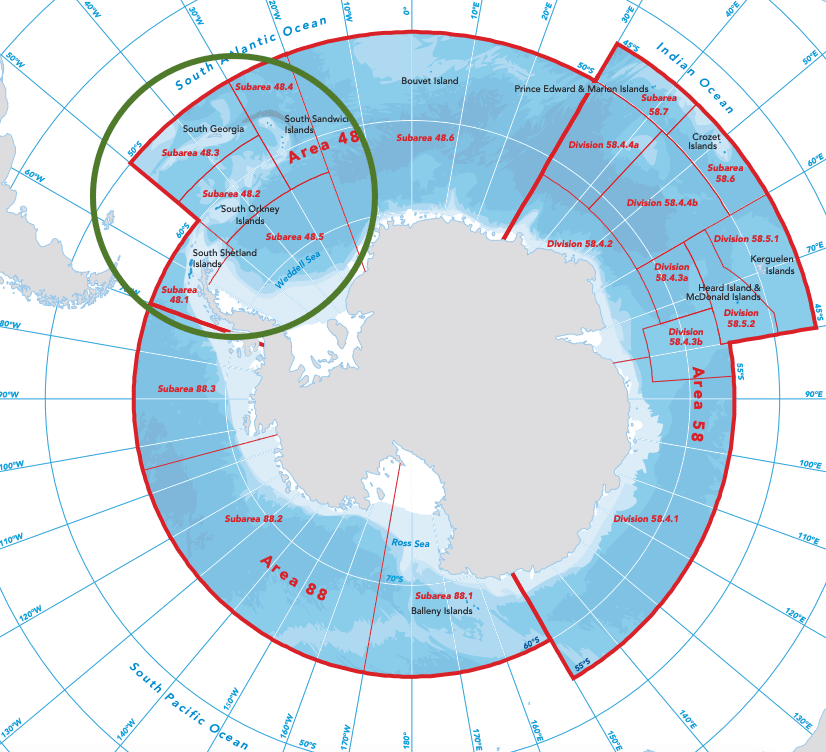 Sung-Ho Kang tweet media
