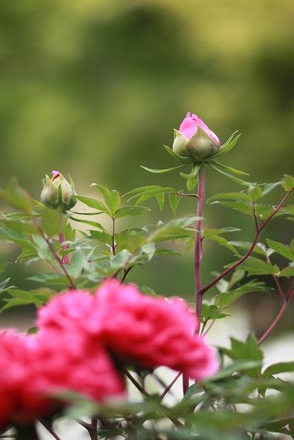 ルーニー＠SKE48推し tweet media