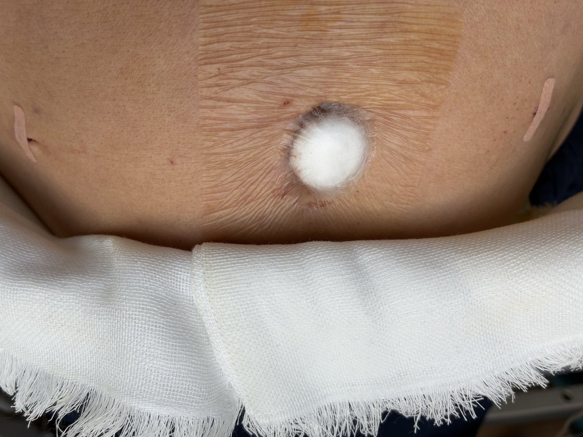 もんも tweet media