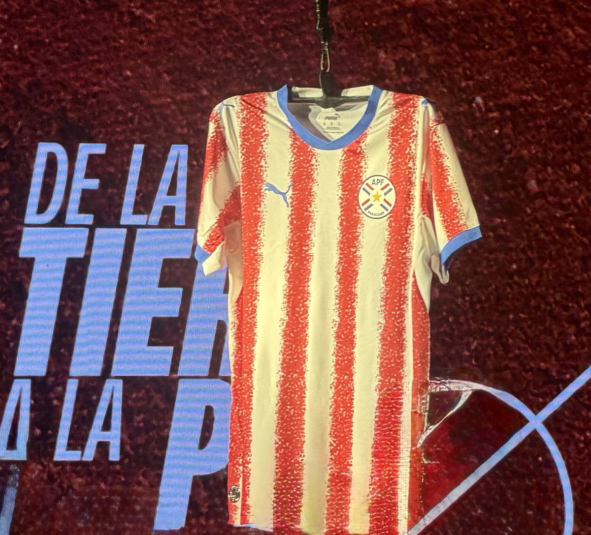 𝓓𝓪𝓷𝓲𝓮𝓵 𝓜𝓪𝓬𝓲𝓮𝓵 𝓒. 🇵🇾 tweet media