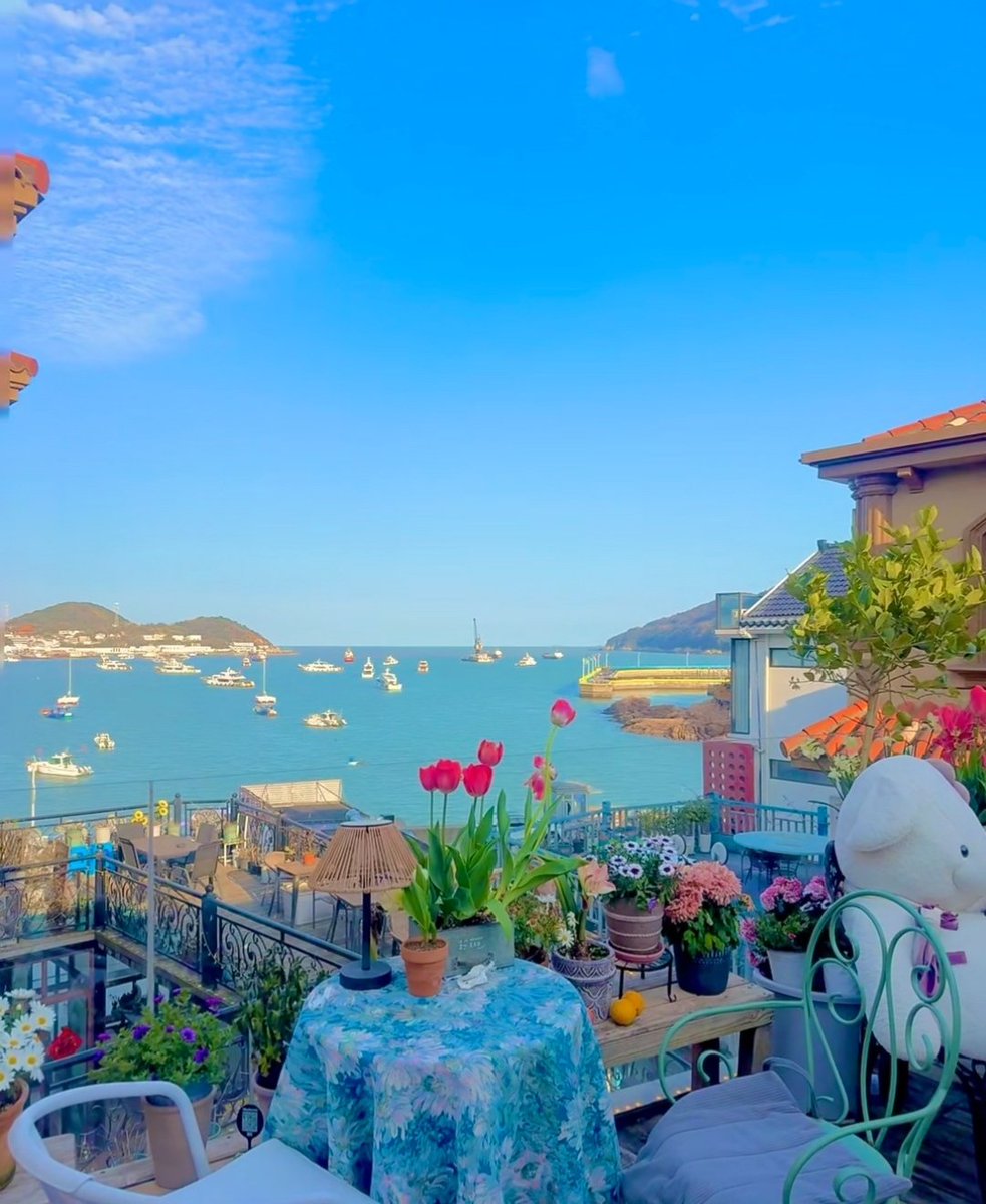 陈晕晕晕 tweet media