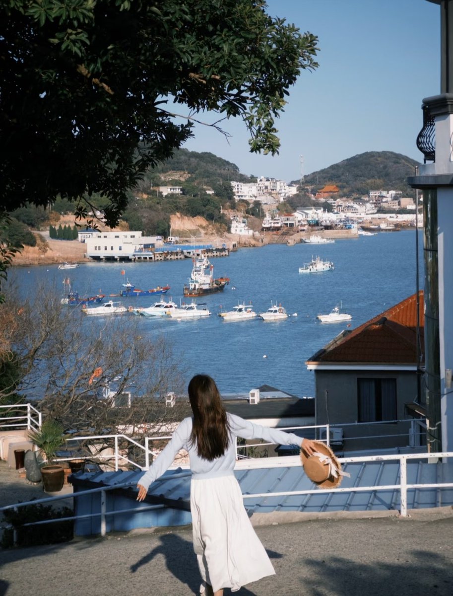 陈晕晕晕 tweet media