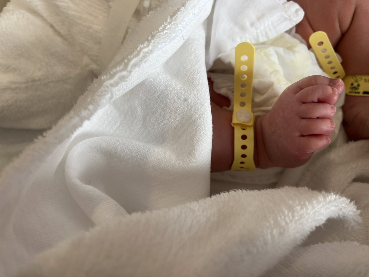 ᔕᕼᑌᗪY tweet media