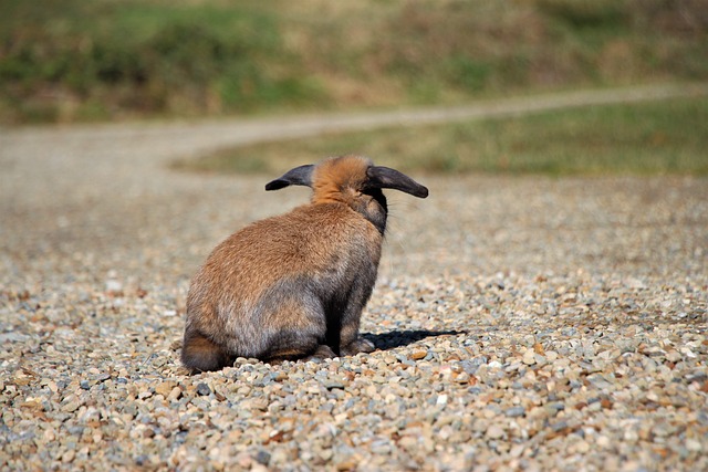 Mark Bar tweet media