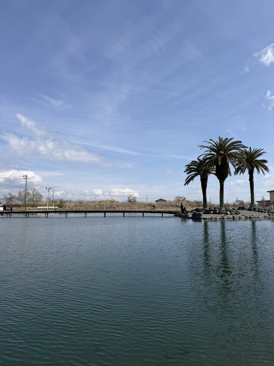 伊藤雄大 tweet media