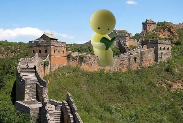 Co2🔛SOL tweet media