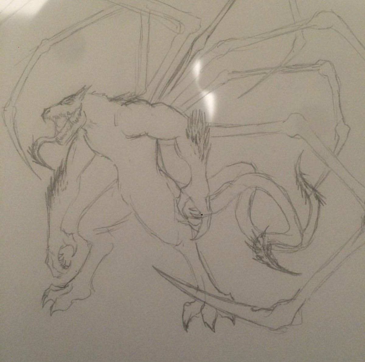 Molly-Rae tweet media