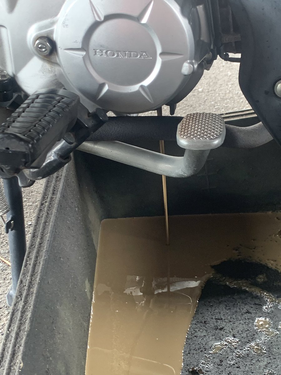 カンマツ/є(・Θ・。)э tweet media