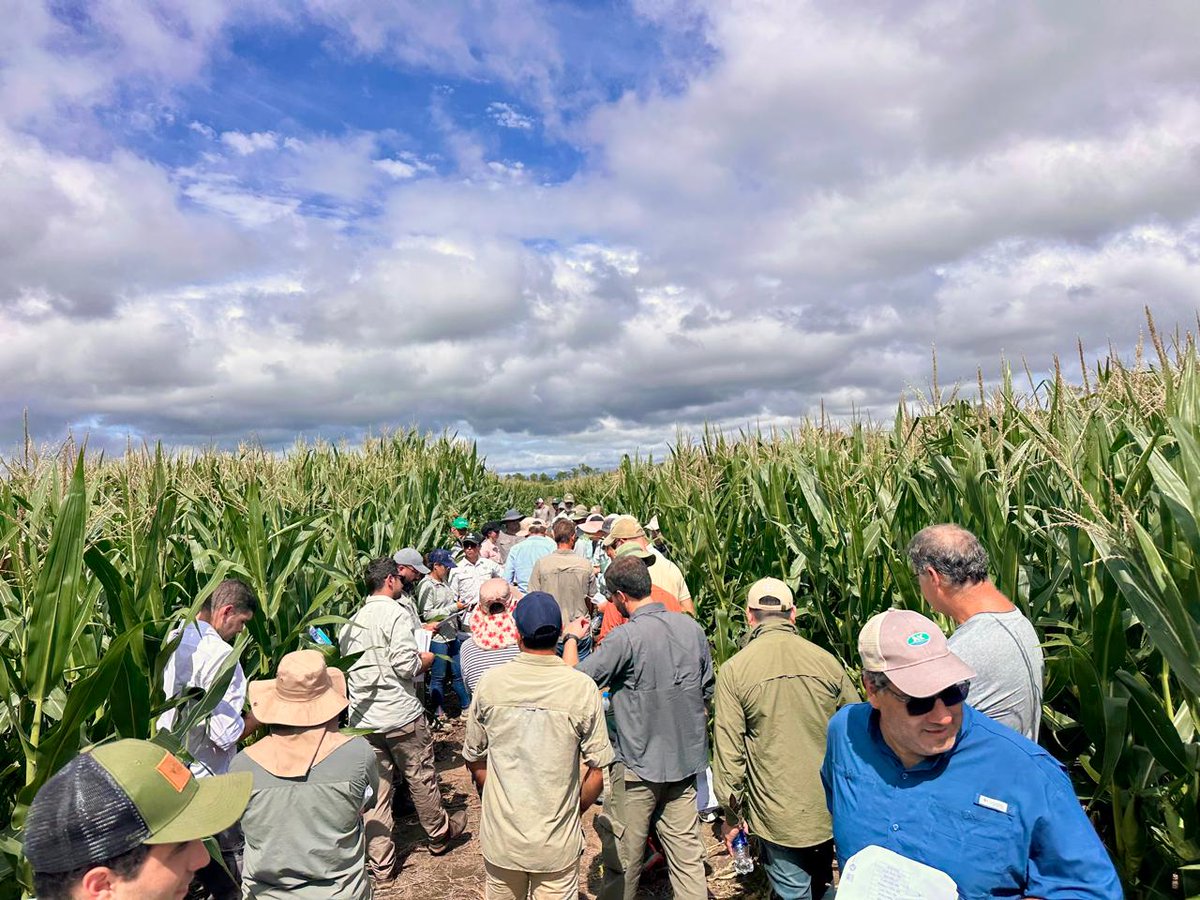 Mauri Acosta tweet media