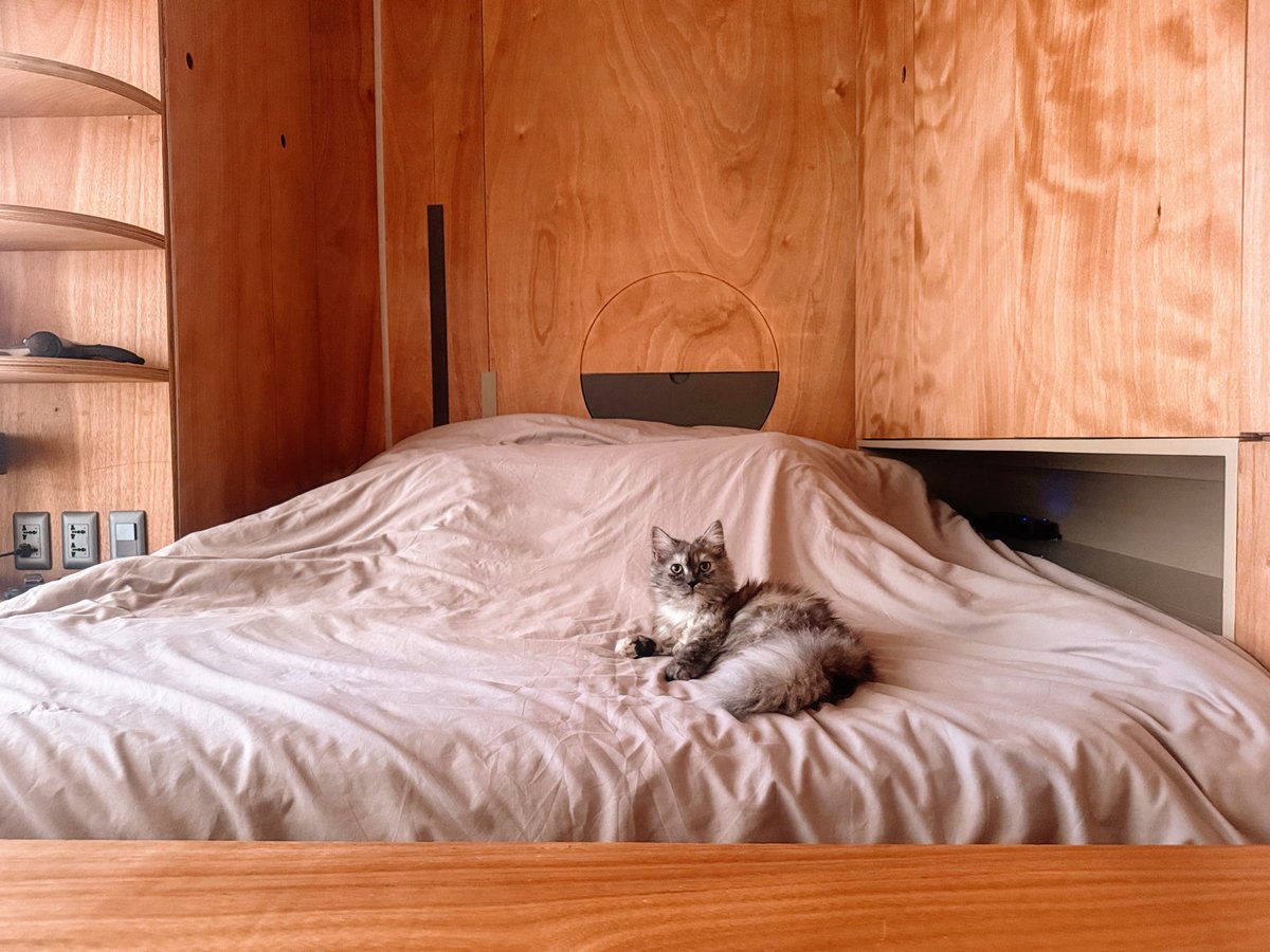 Syd 💗🫶😽 tweet media