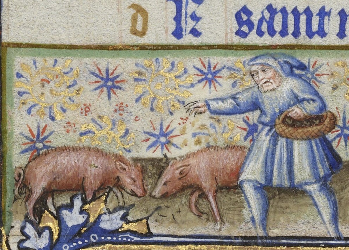 Dr Lacey Bonar Hull tweet media