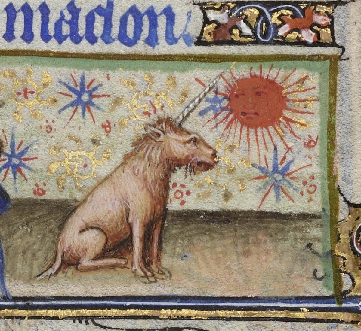 Dr Lacey Bonar Hull tweet media