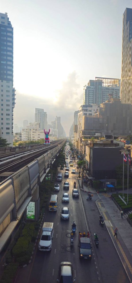 Tiny Mint Mutt 👩🏿🦼➡️ thailand tweet media