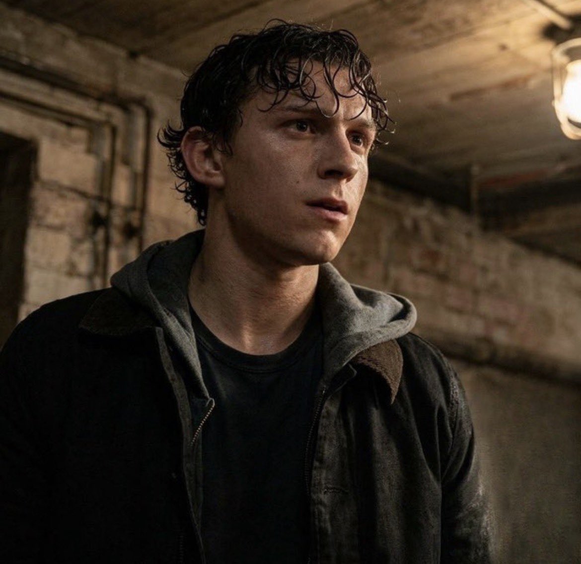 gi⎊Ψ🏒 di angelo tweet media