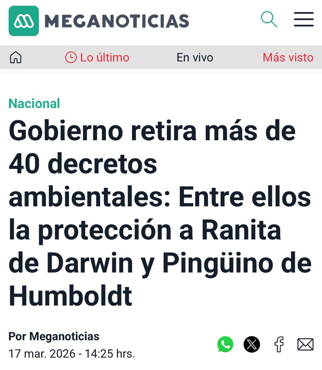 Nico Larrondo ~ niconeko.bsky.social tweet media