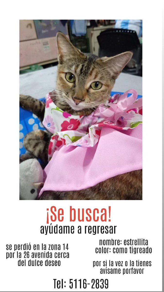 Por la Villa en zona 14. RT por favor