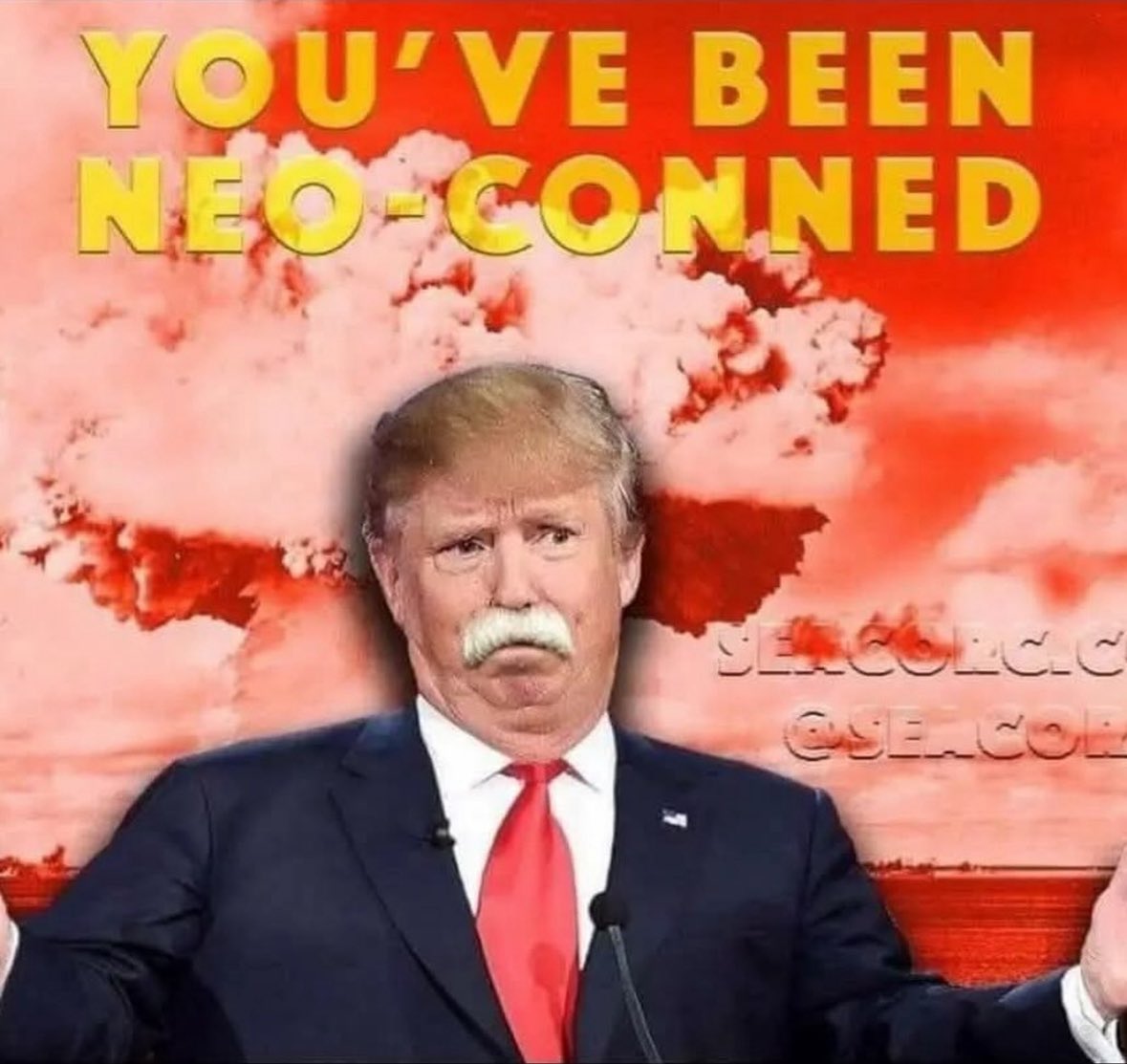 HowlingAmerican tweet media