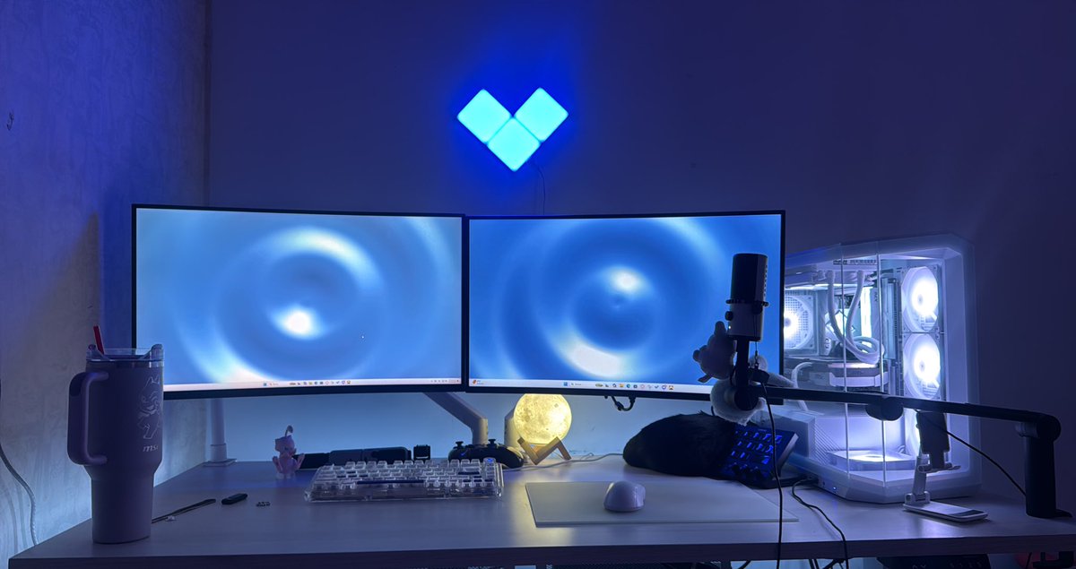 Avi Meillon 🐰🫧 tweet media