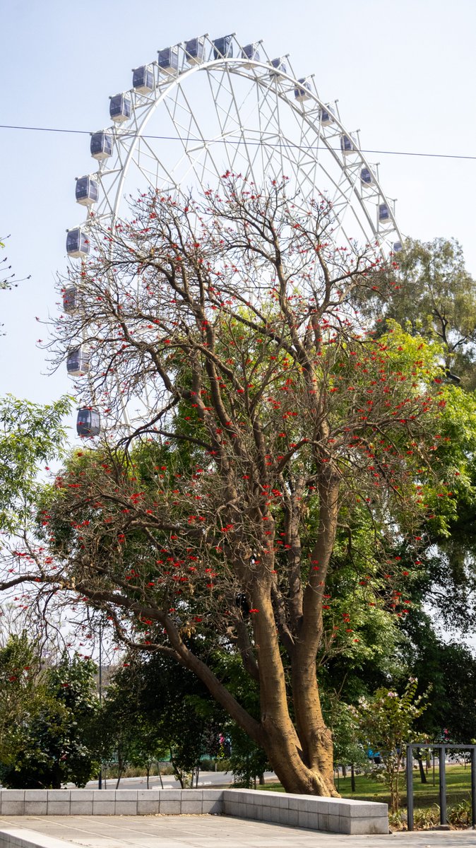 Bosque De Chapultepec tweet media
