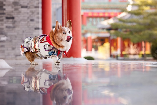 Angel Mitchell tweet media