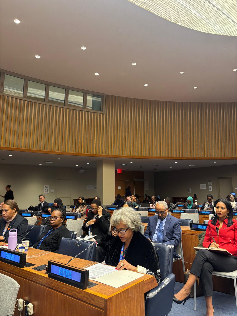 Eritrea at the UN tweet media