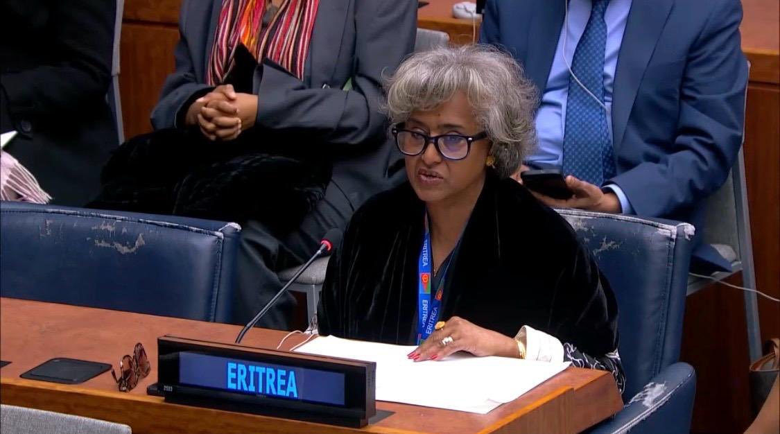 Eritrea at the UN tweet media