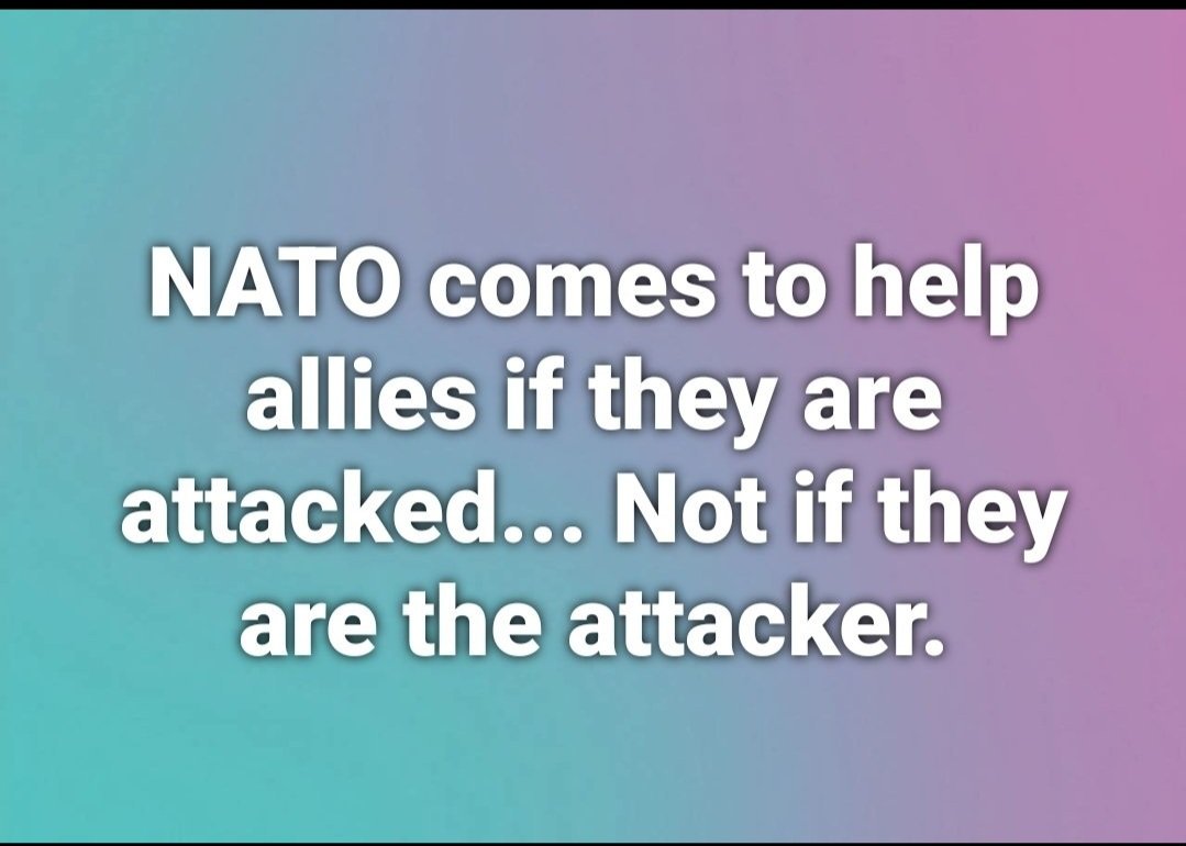 BarnZ 🧡 tweet media