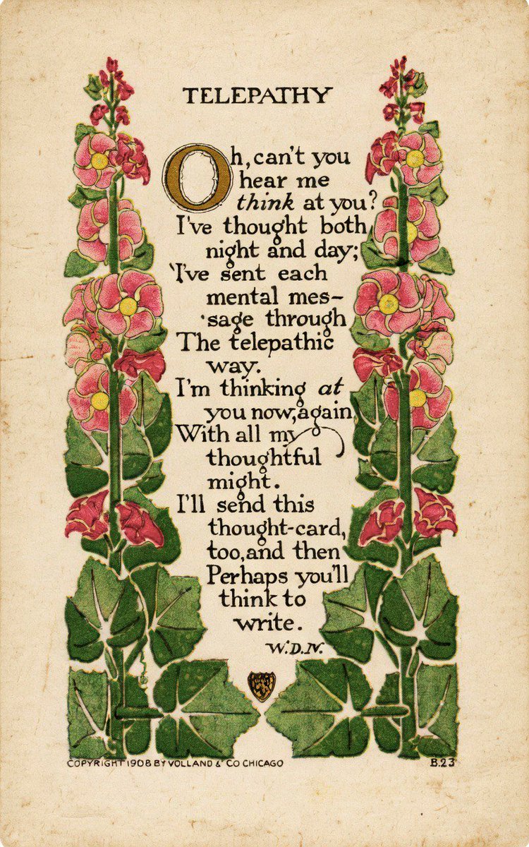 Bluebell Raven tweet media