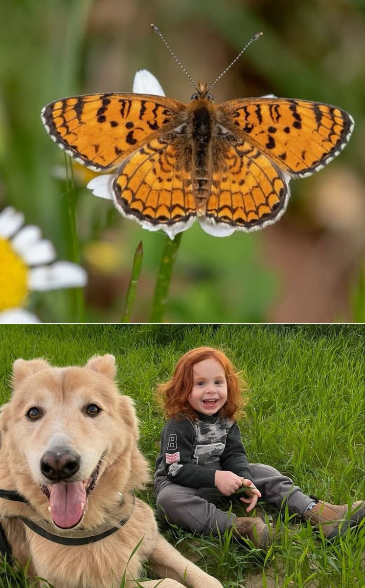 Mazelit Airaksinen 🎗🇺🇸 tweet media