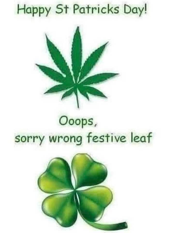 PaganPath1's tweet photo. 🤣 Would rather have the first one than the second one. Also I don't really care for Saint Paddy-wack https://t.co/KTM5D1eSES