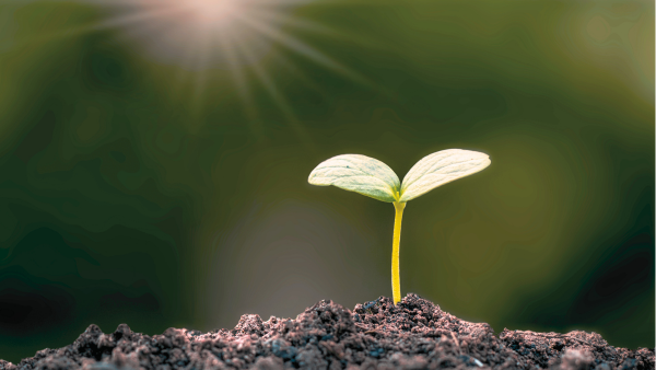 Fitz Villafuerte tweet media