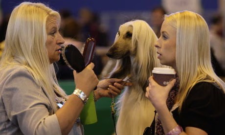 Igal Tabachnik tweet media