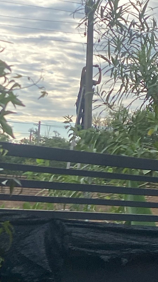Dorislacasa's tweet photo. @ANDEOficial Mientras nosotros pagamos sobre facturaciones, los invasores están haciendo conexiones clandestina en la zona el Cortijo San Bernardino!!! Tomen carta en el asunto ,otros tienen gratis mientras nosotros pagamos sumas exorbitantes en nuestra factura !!! https://t.co/yg5m5jthWT