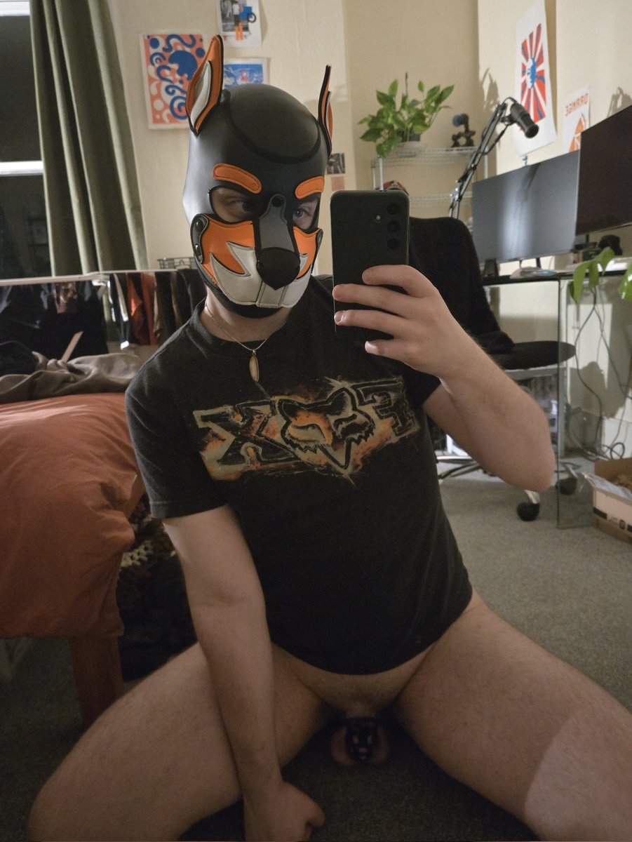 Pup Kit 🪷 tweet media