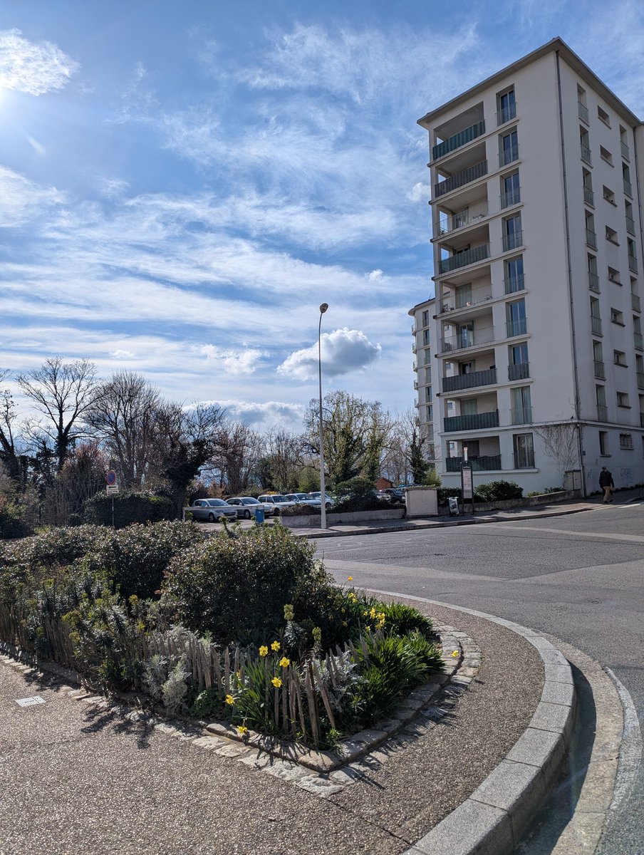 nameless alice tweet media