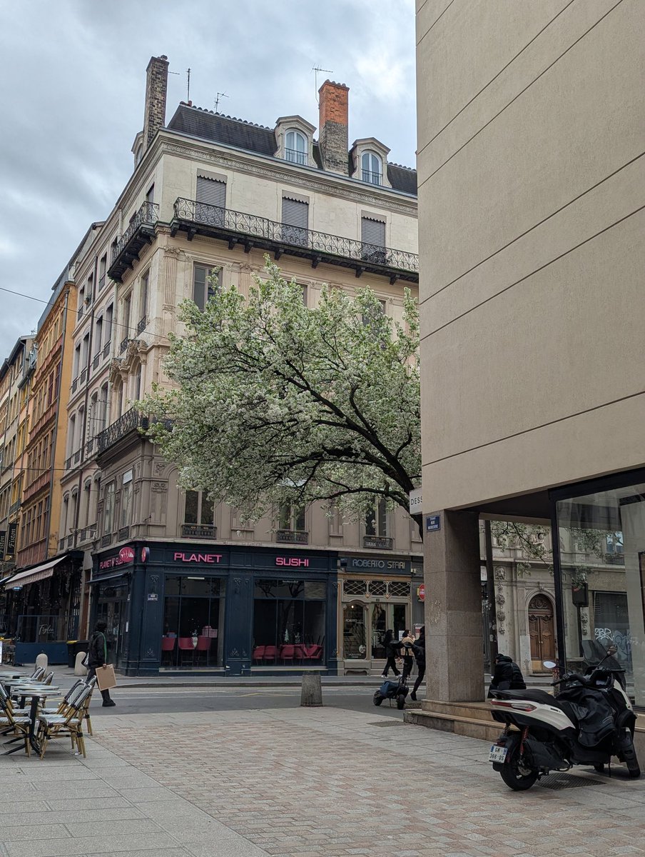 nameless alice tweet media