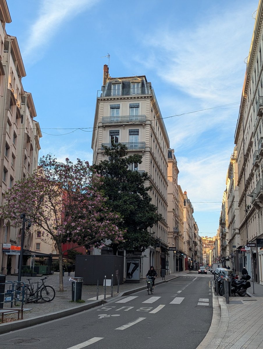 nameless alice tweet media