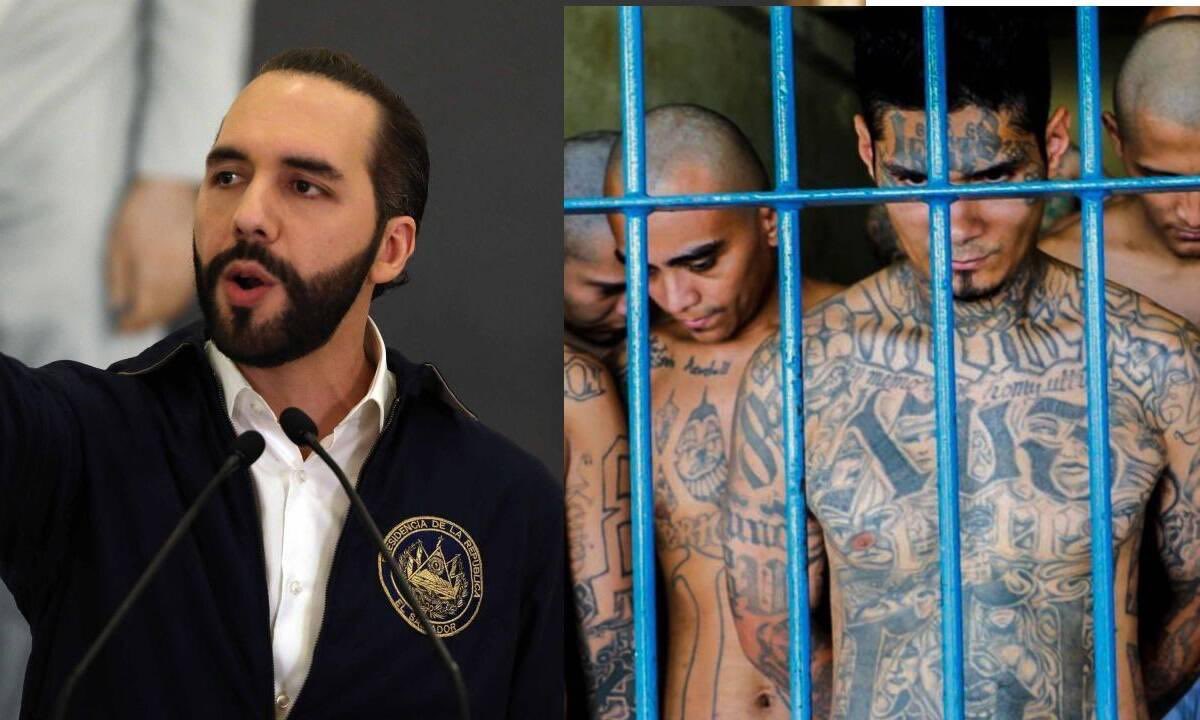 Muy.Mona/🇪🇸💚 tweet media