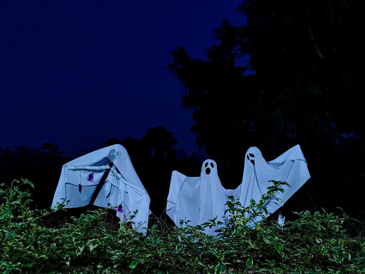 Rodny Blake Lyu tweet media