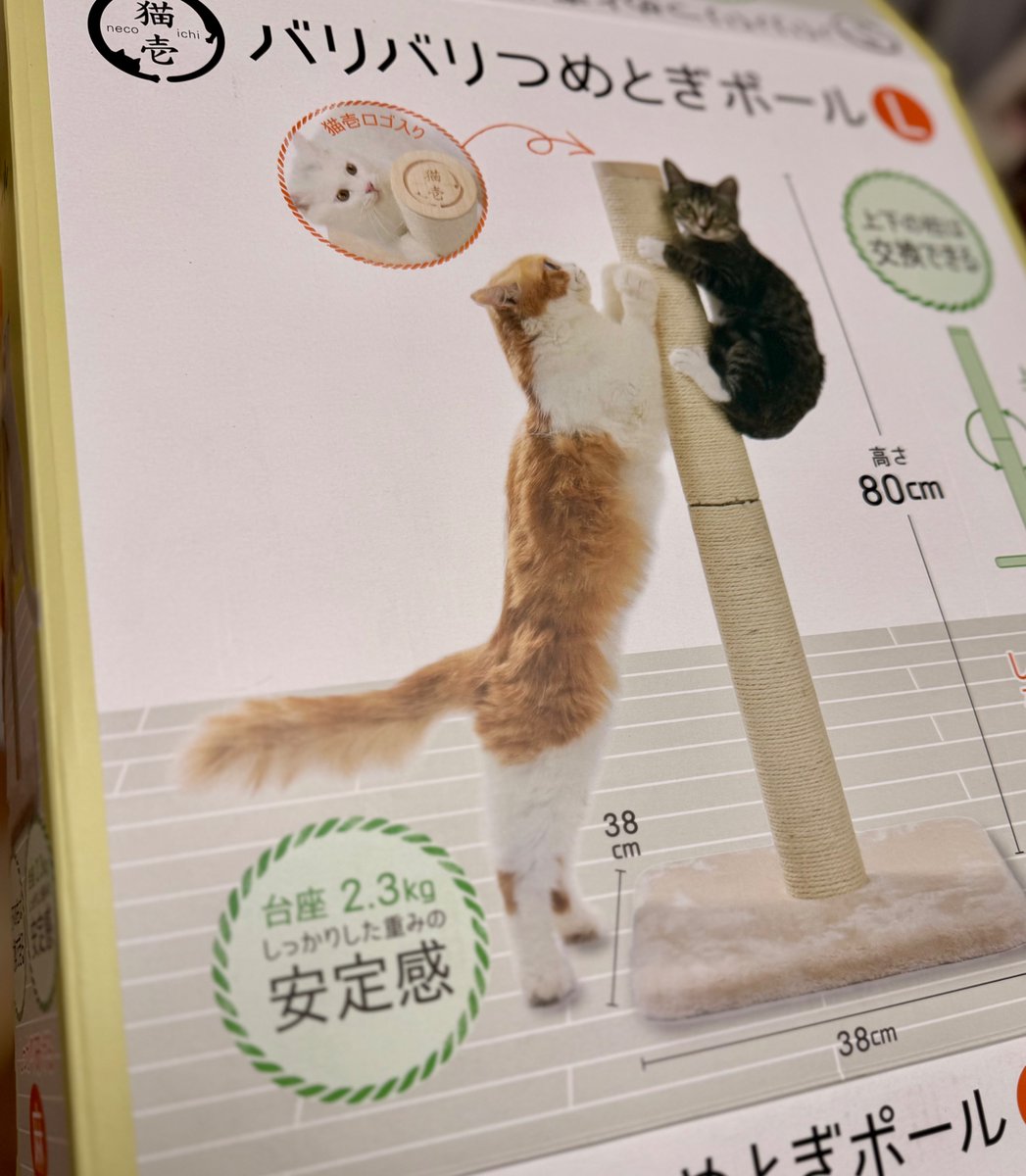 サワノアキラ tweet media