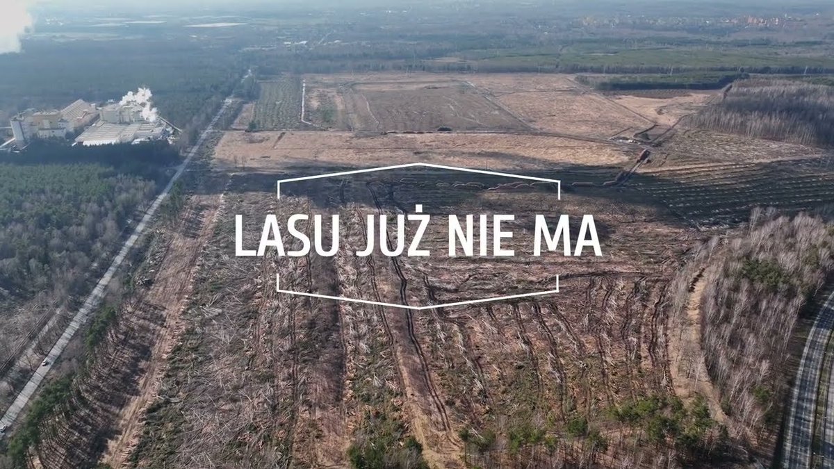 RacjonalnyObywatel tweet media