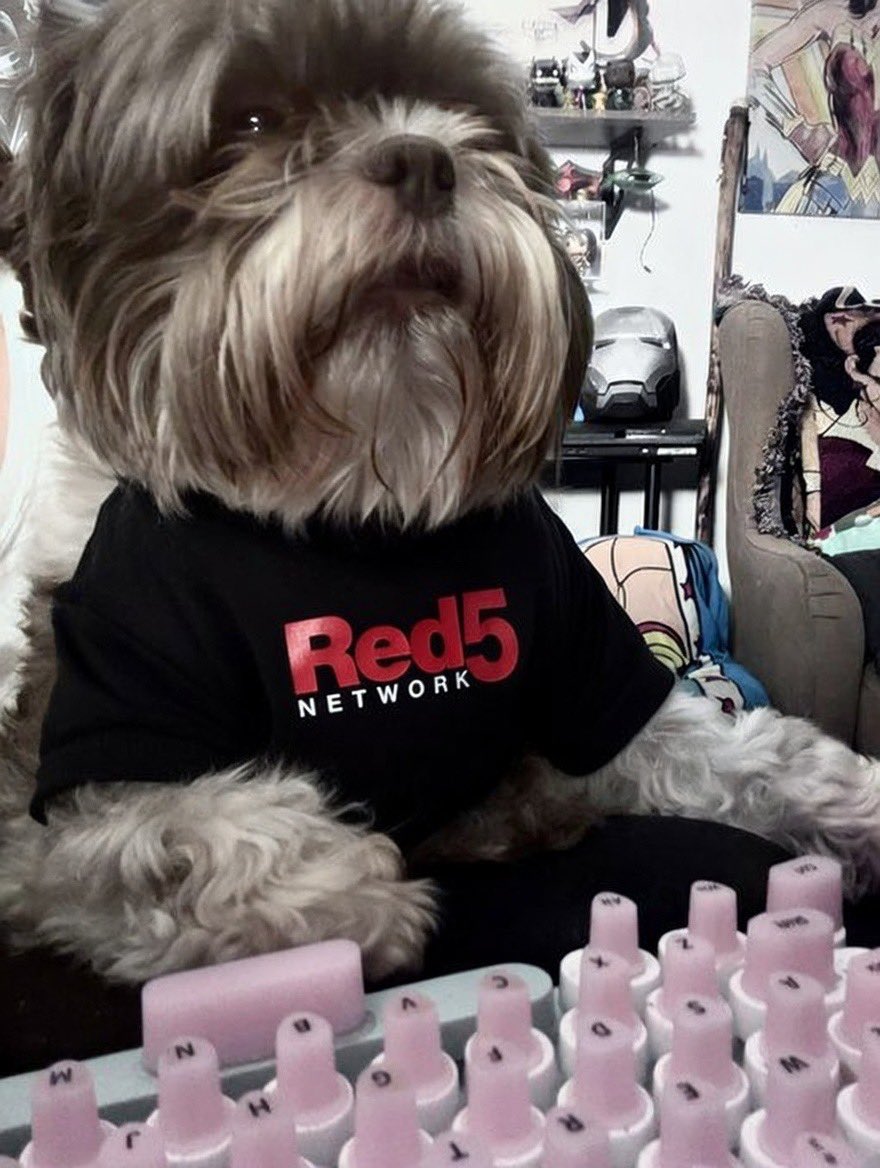 YOUR Red 5 Network tweet media