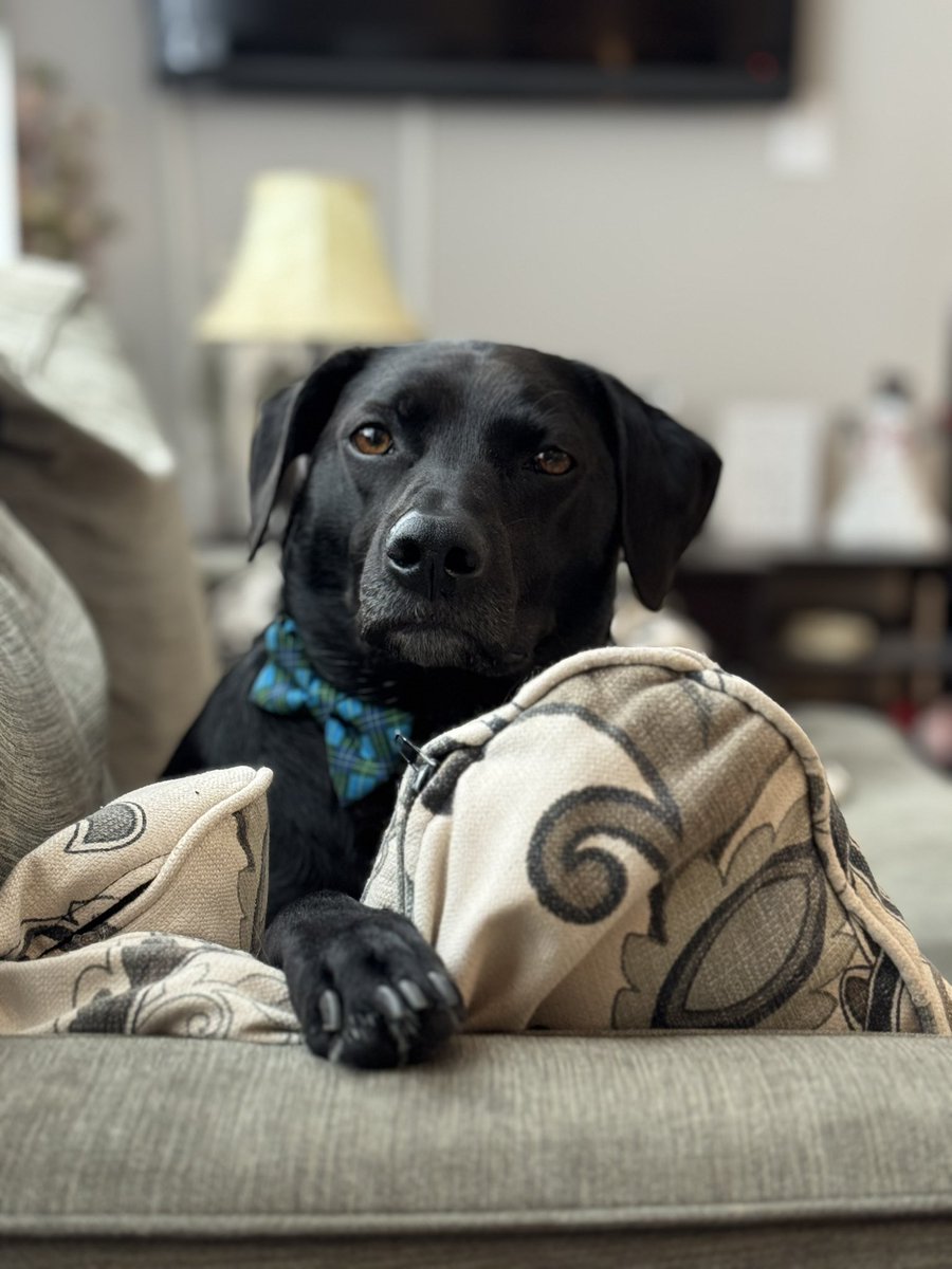 Sean O’Leary tweet media